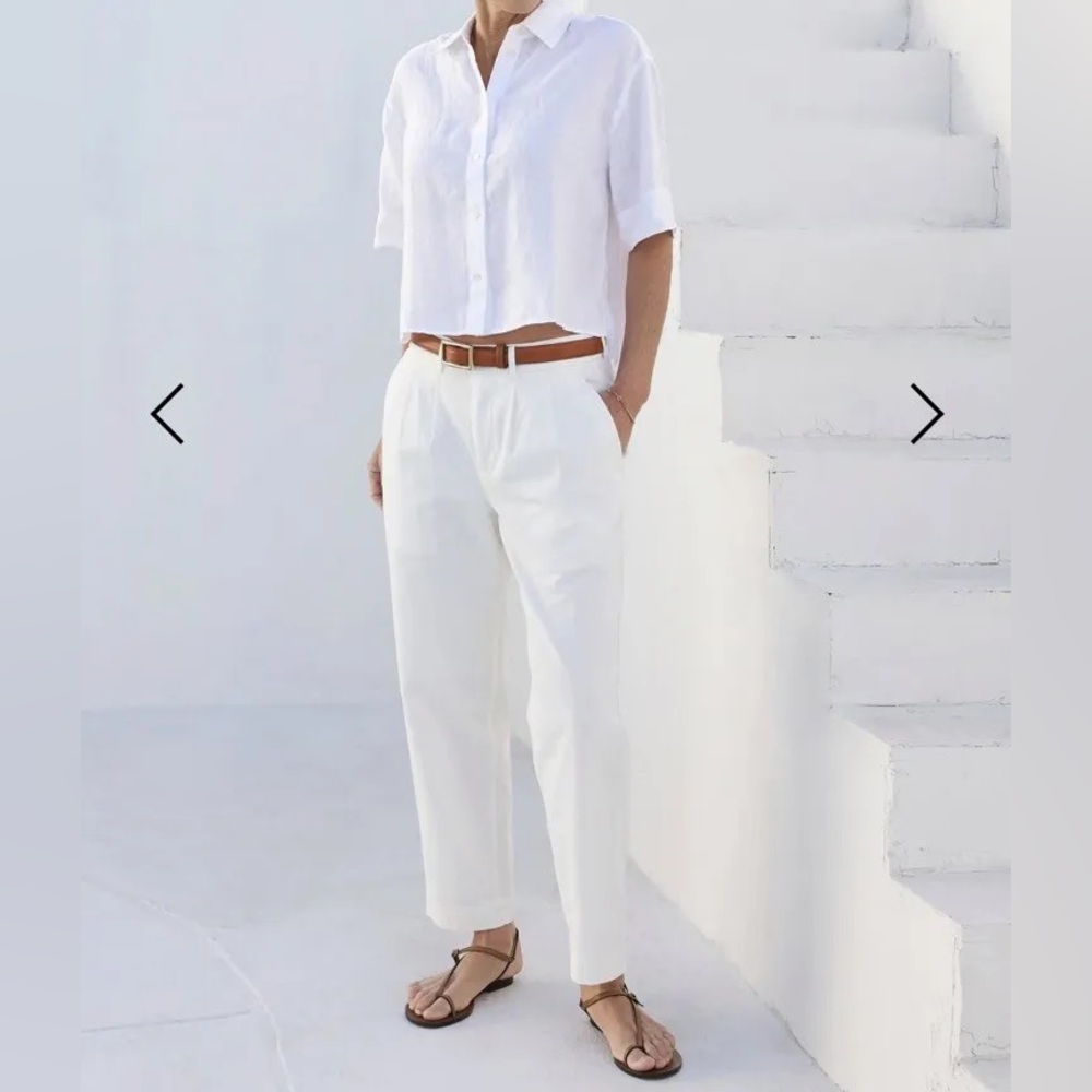 AYR Metropolitan Cotton Pleated Pant in Basmati White